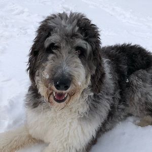 Meet your Posher, Alexandra